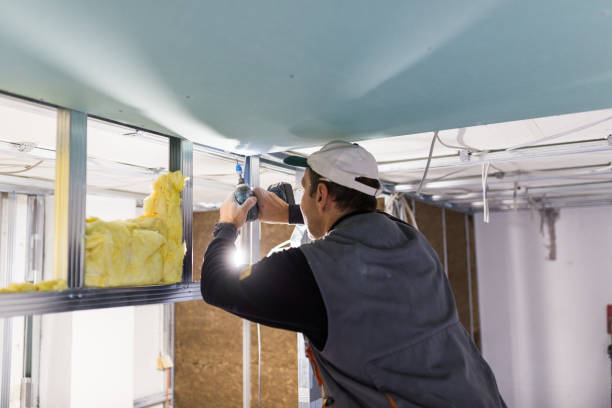 Best Residential Insulation in Williamson, WV